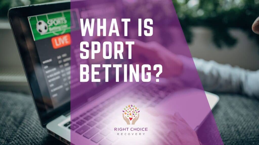 Best Odds for Horse Racing Strategies and Insights