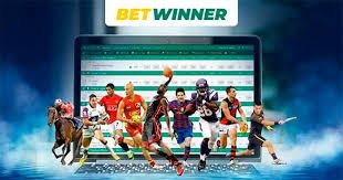 Comprehensive Guide to Betwinner Sports Analytics 0