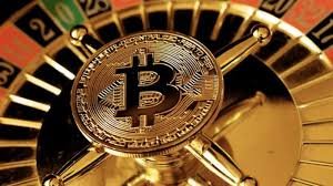 Discover the Best Live Casino Hungary Top Picks & Insights Discover the Best Live Casino Hungary Top Picks & Insights