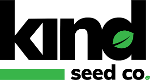 Ultimate Guide to Marijuana Seeds Florida Cultivating Success Ultimate Guide to Marijuana Seeds Florida Cultivating Success