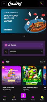 The Ultimate Guide to Online Gaming at casiny1.com 6