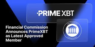 Understanding PrimeXBT Contacts Connecting with Your Trading Platform